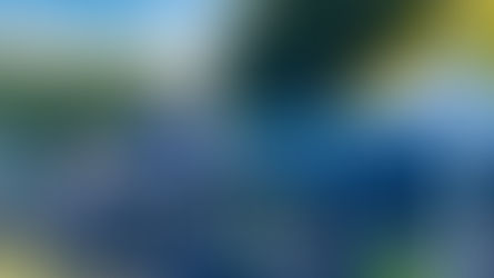 Summer at the Ōtaki Market