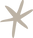 schel (3).png