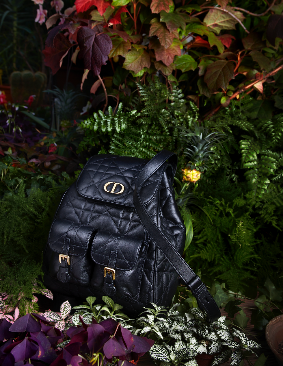 DIOR HOLIDAY