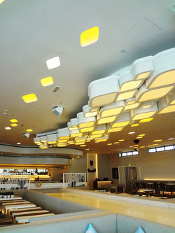 Cove Beach - Fellert