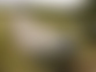 דמיון בורא מציאות בעבודותיו של אריק ג'והנסון