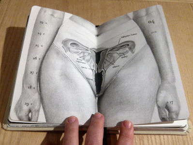 יומנים חשופים