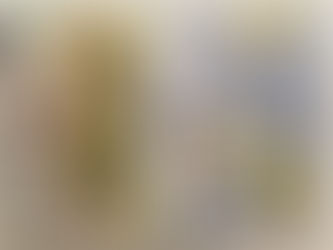 סדרת יומני אמנות - פוסט שלישי - חגית אזולאי- רוזנס