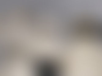 עינת עדין - יוצקת יצורים דמיוניים מחפצים יומיומיים