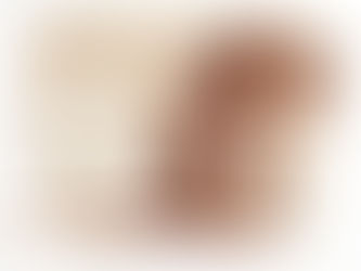 נכתב בדם - וינסנט קסטיליה