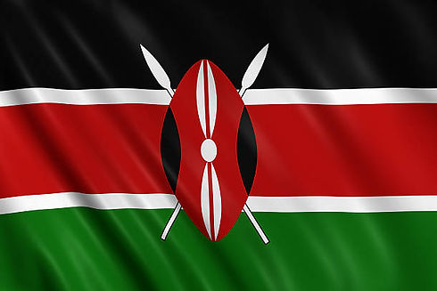 Kenya wave Flag.jpeg