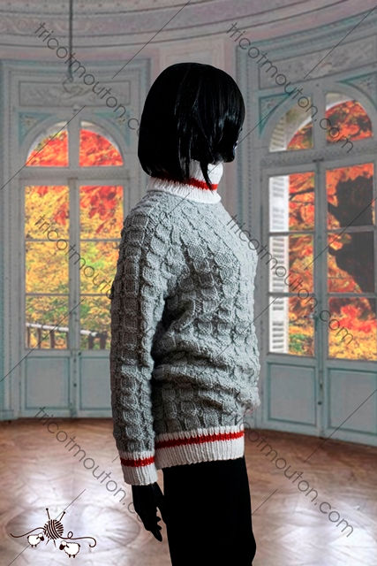 Miniature : Chandail Raglan ''Collection du Pays''