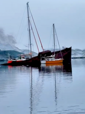 Antártica Dia 4: Enterprise Bay e Naufrágio Governoren