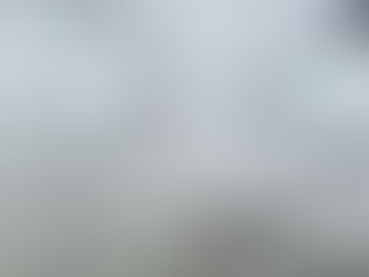 Antártica Dia 7: Dorian Bay - Onde Almir Klink invernou