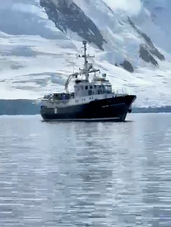Antártica: Vantagens do Hans Hansson x Navio Cruzeiro