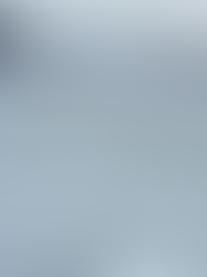 Antártica Dia 2: Baía do Almirantado