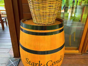 África do Sul: Stark-Condé