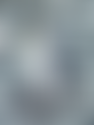 Antártica Dia 13: Baía Media Luna e Pinguim Rei solitário