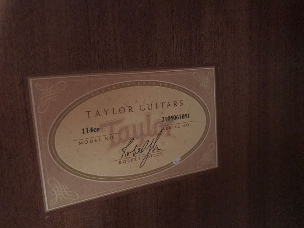 縮圖：Taylor 114ce