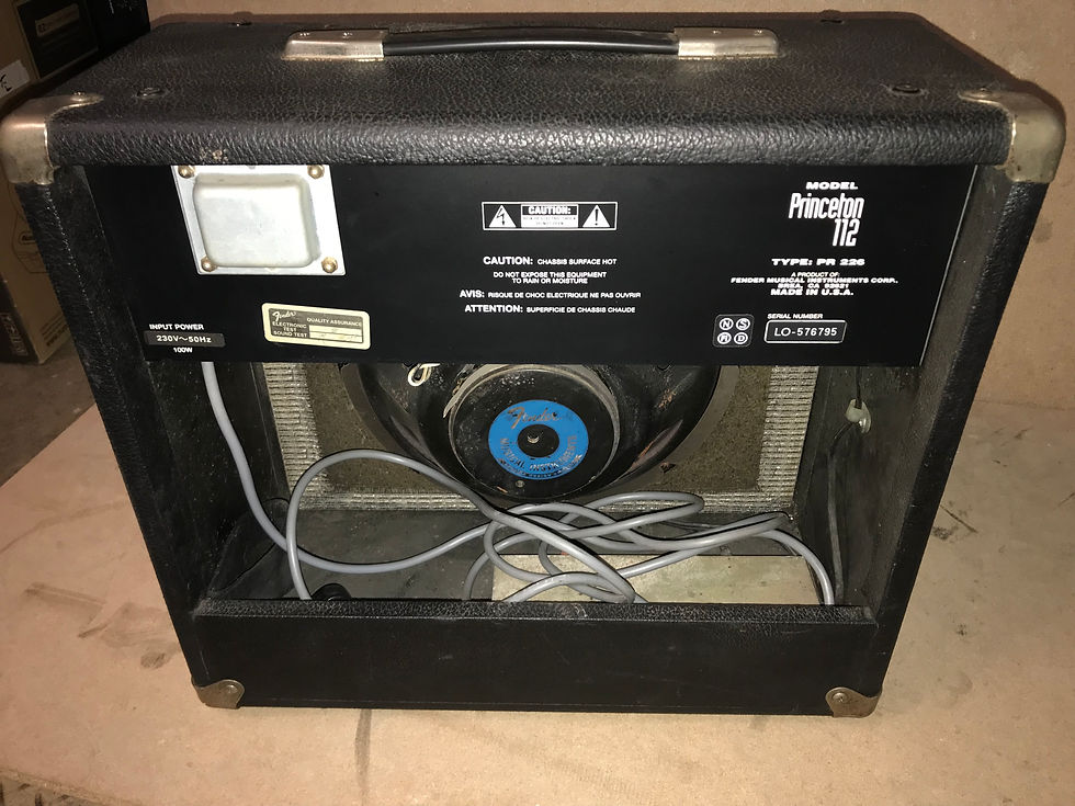 縮圖：Fender Princeton 112