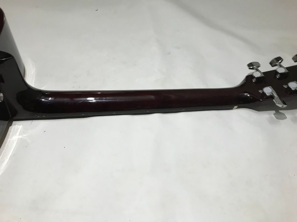 縮圖：Fender FA -100