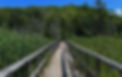 awenda_provincial_park_ontario_canada_trip_report_frontcountry_car_camping_10.jpg
