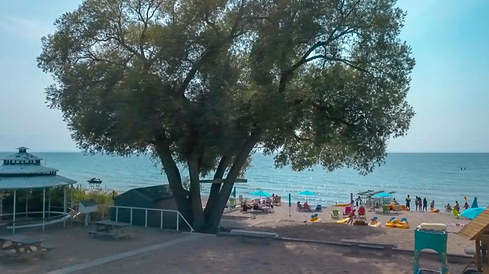 Screenshot 2025-03-05 at 1.11.01 PM.png