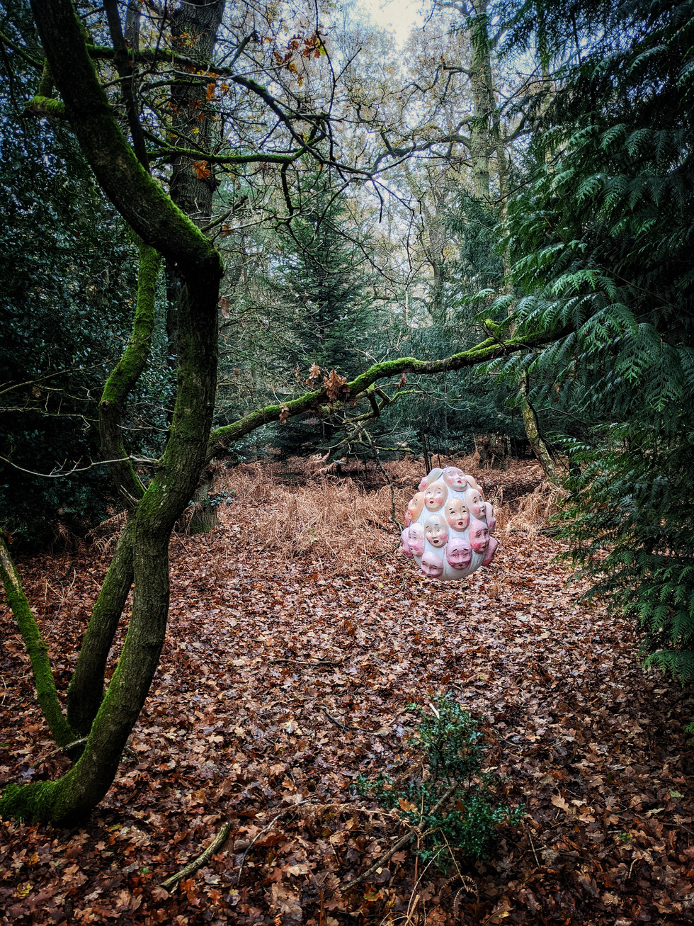 Forest Exhibition