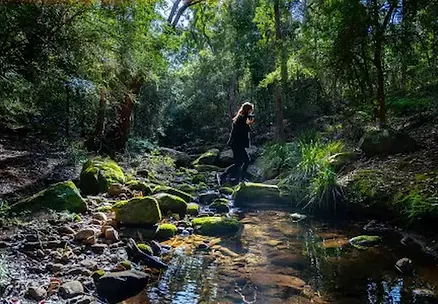 Explore the beauty