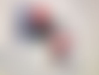 Two months project update