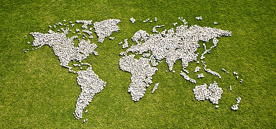Map in Grass