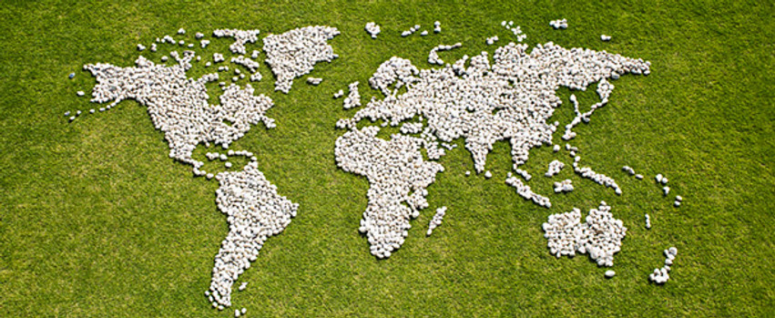 Map in Grass