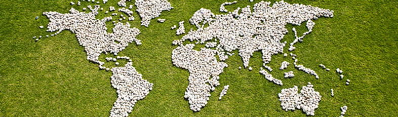 Map in Grass