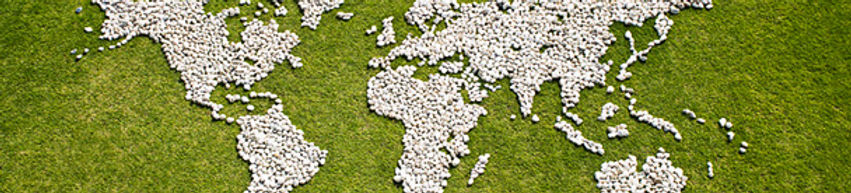 Map in Grass