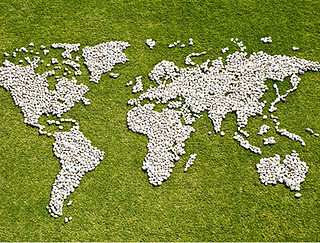 Map in Grass