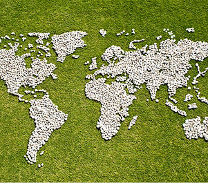Map in Grass