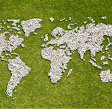 Map in Grass 