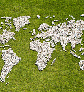 Map in Grass