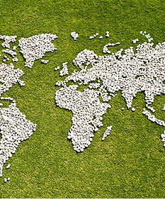 Carte en herbe