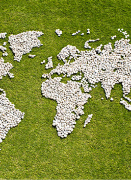 Map in Grass