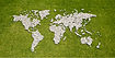 Map in Grass