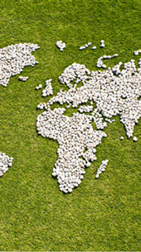 Map in Grass