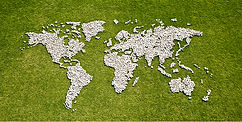 Map in Grass