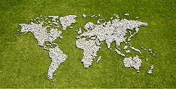 Map in Grass