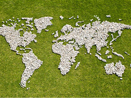 Exportaciones: Qué estructura necesitas para crear un departamento de exportación