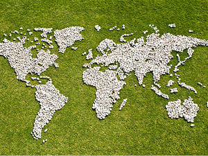 United Nation's 2019 report on Cannabis & Hallucinogens