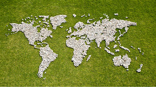 VEGAN AROUND THE WORLD