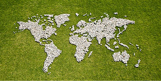 Map in Grass