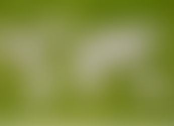 Comunicado sobre contexto y geopolítica