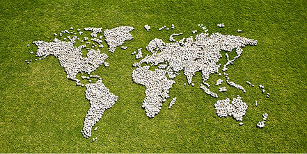 Map in Grass