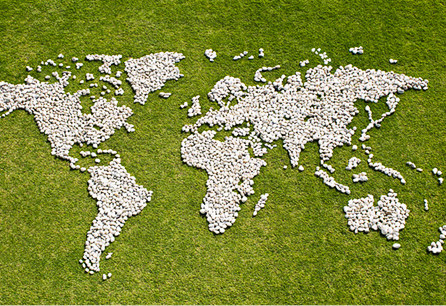 OSI’s Voluntary Disclosures to Climate Non-Profit, CDP, Light Pathway Toward Progress