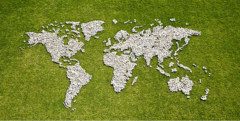 Map in Grass
