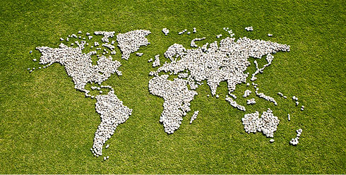 Map in Grass