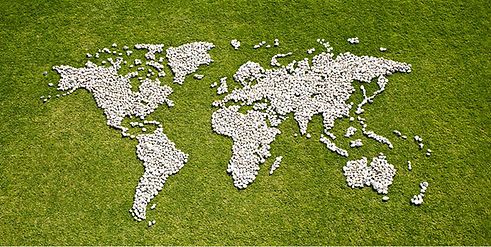 Map in Grass