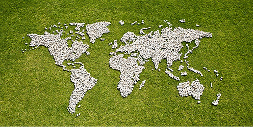 Map in Grass